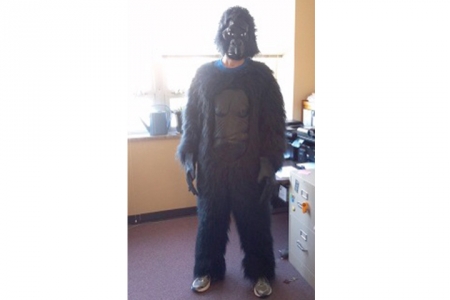 A person in a gorilla suit and mask stands next to a desk.