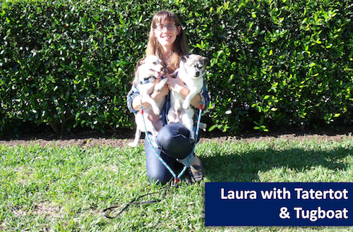 Against a bright green hedge, a smiling woman kneels and holds two small dogs in her arms, a terrier mix and a pug.