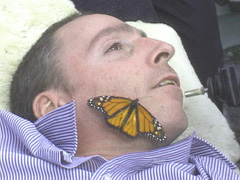 A man lies his head on a bed, gazing off camera, while an orange butterfly sits on his cheek.