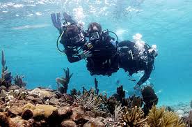 Shot underwater, a trio of scuba divers swims above a reef formation. One of the divers adjusts the equipment of another, who has no arms or legs.